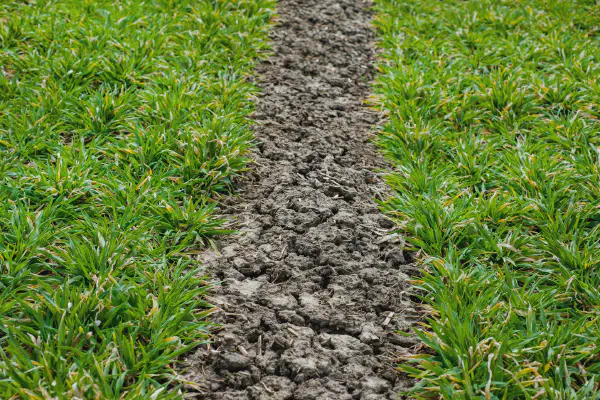 French Drain Installation